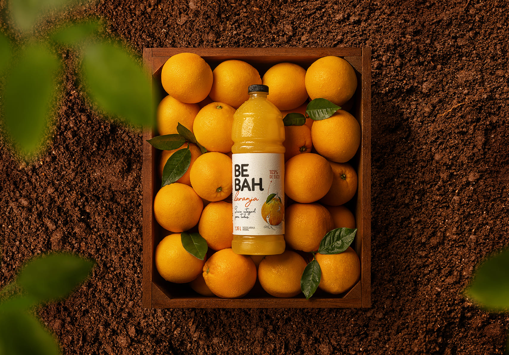 Imagem sem descrição