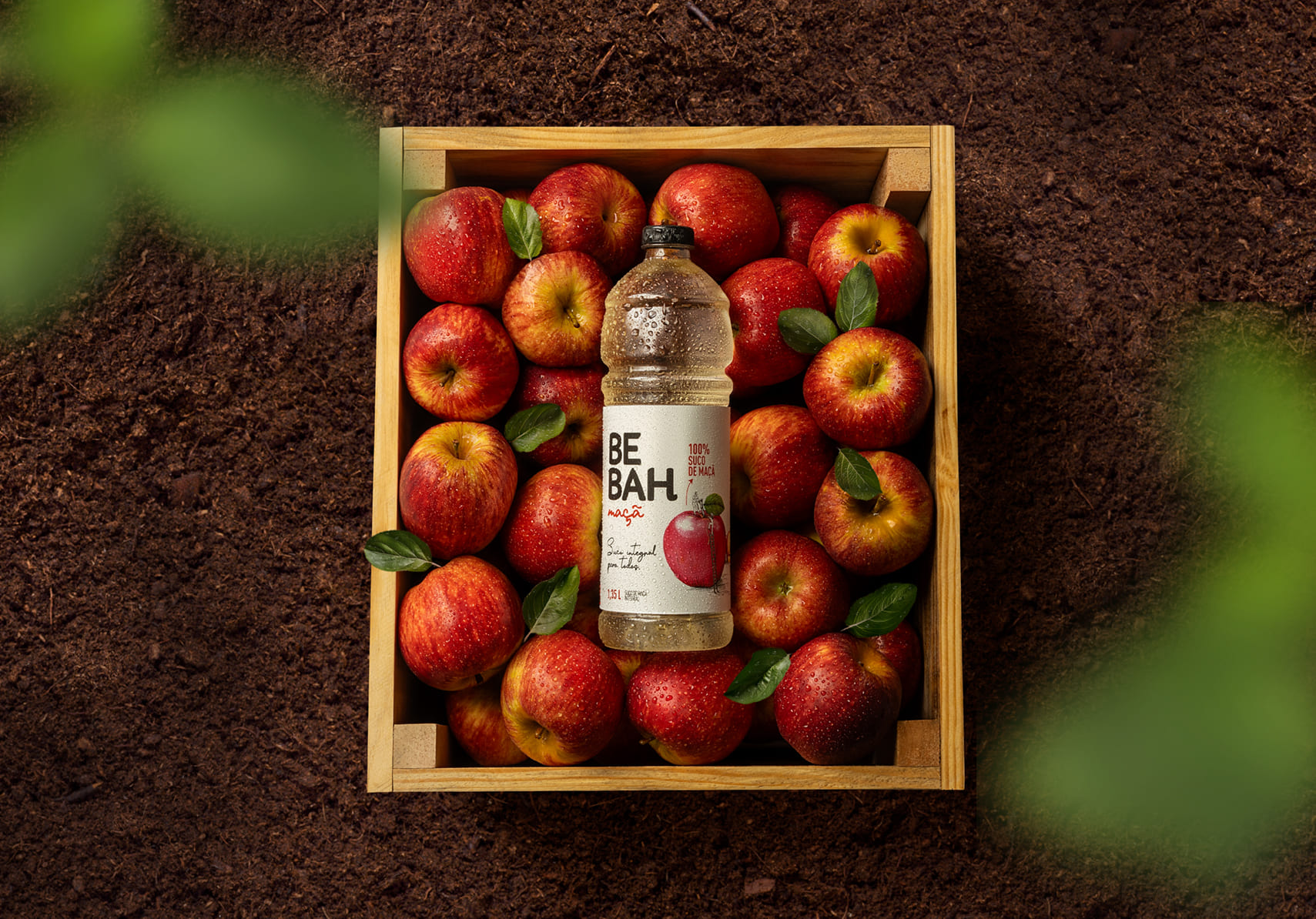 Imagem sem descrição