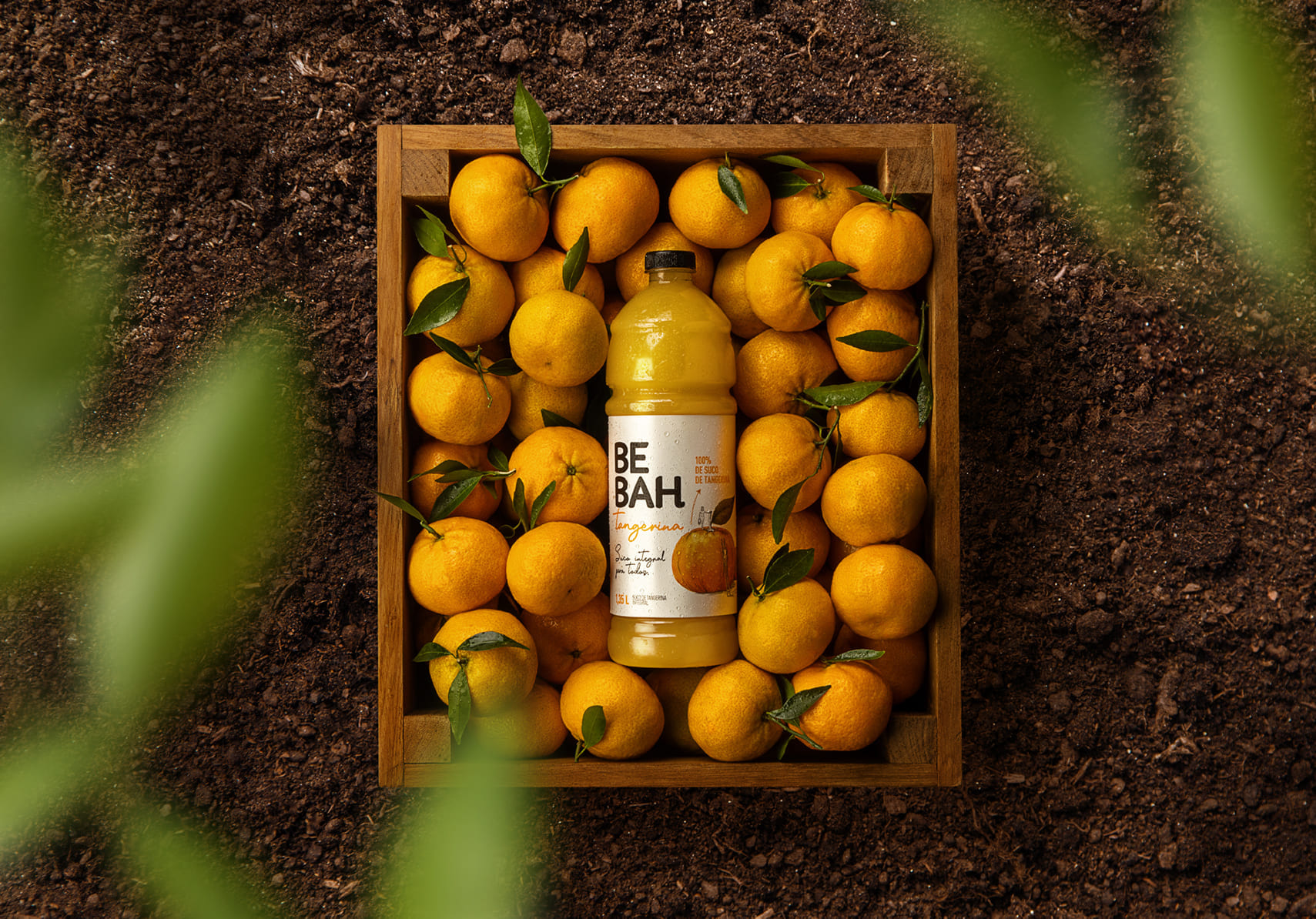 Imagem sem descrição