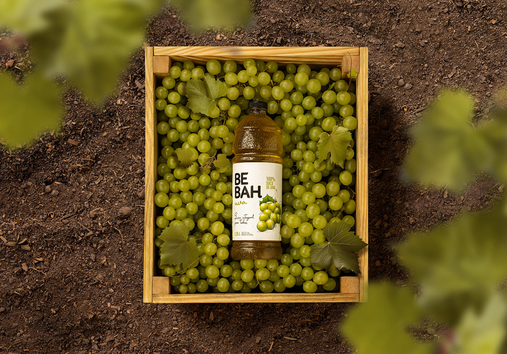 Imagem sem descrição