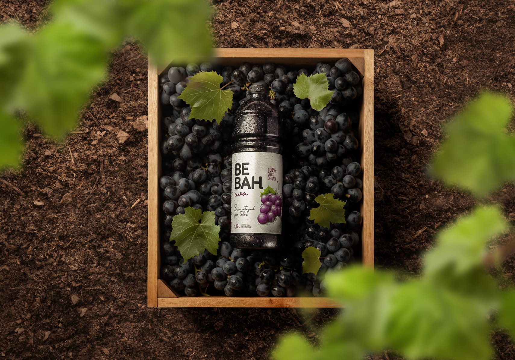 Imagem sem descrição