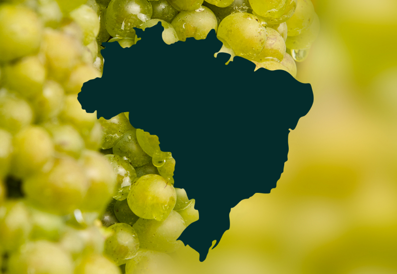 Imagem sem descrição