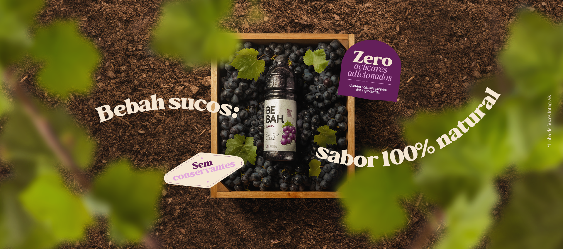 Imagem sem descrição